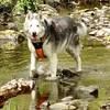 breezer9
